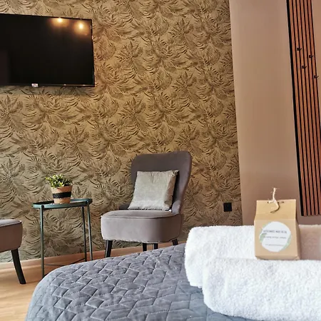 Gosciniec Nad Olza Цешин