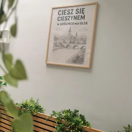 Gosciniec Nad Olza Отель Цешин