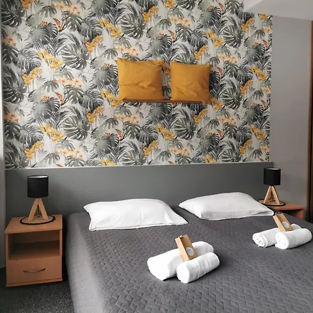 Gosciniec Nad Olza * צ'שין