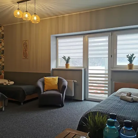 Gosciniec Nad Olza * צ'שין