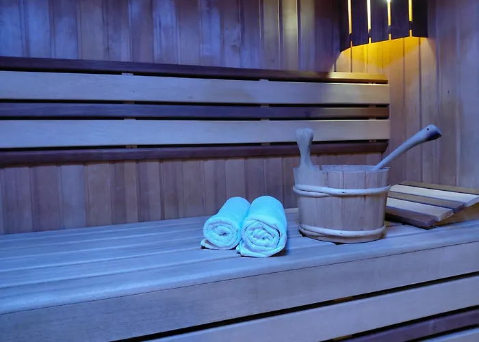 Gosciniec Nad Olza * צ'שין