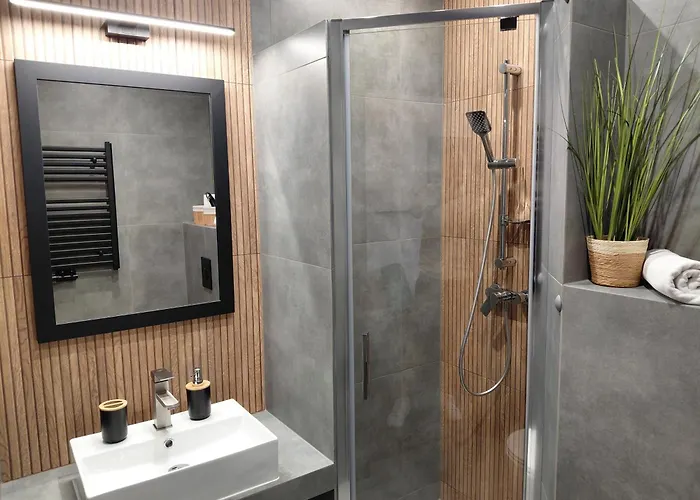 Gosciniec Nad Olza מלון