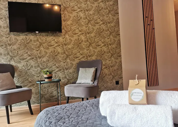 Gosciniec Nad Olza צ'שין