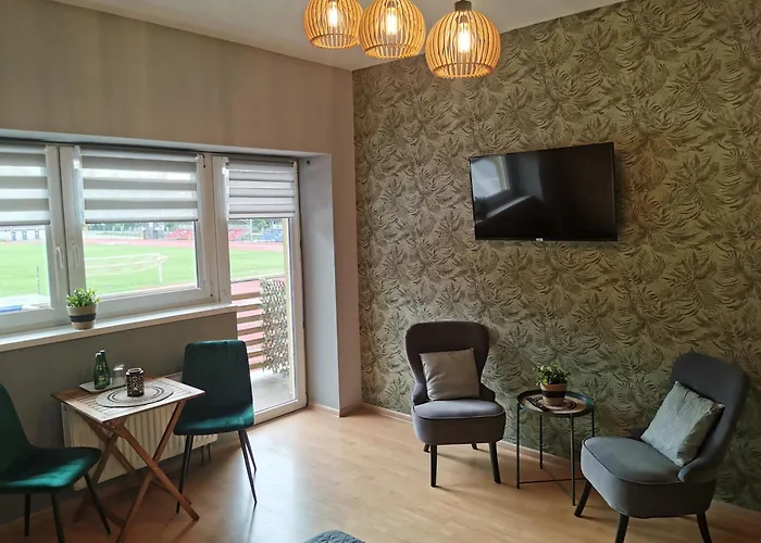 Gosciniec Nad Olza מלון *