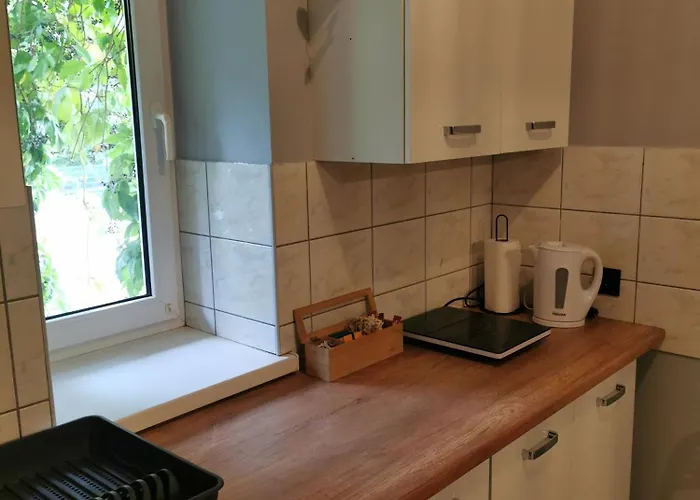 Gosciniec Nad Olza מלון