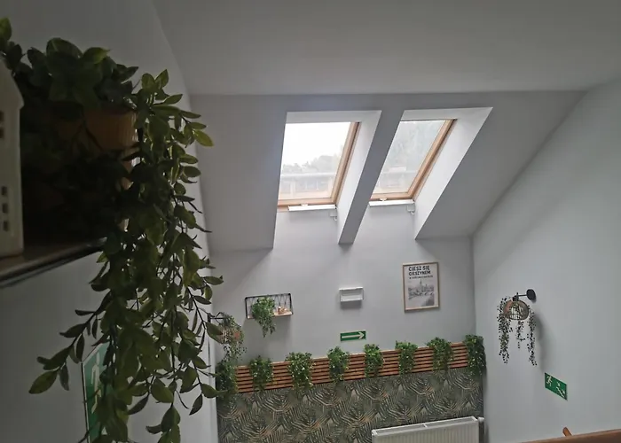 Gosciniec Nad Olza מלון צ'שין