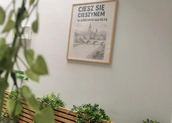 Nad Olzą Hotel Cieszyn (Silesia)