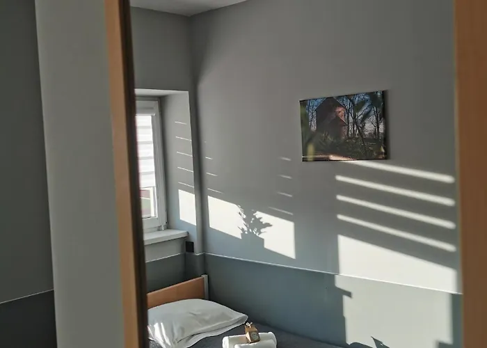 מלון Gosciniec Nad Olza צ'שין