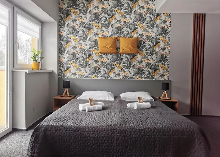 Gosciniec Nad Olza * צ'שין