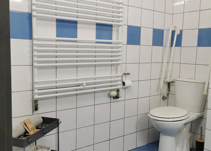 מלון Gosciniec Nad Olza צ'שין