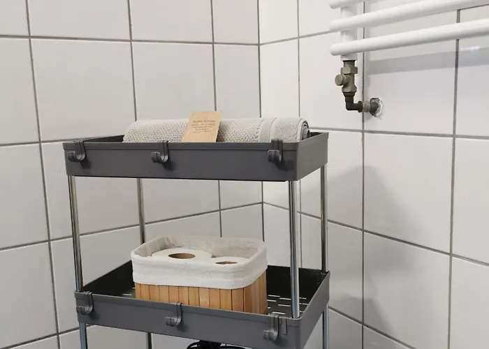 Gosciniec Nad Olza צ'שין