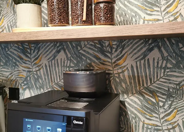 Gosciniec Nad Olza מלון